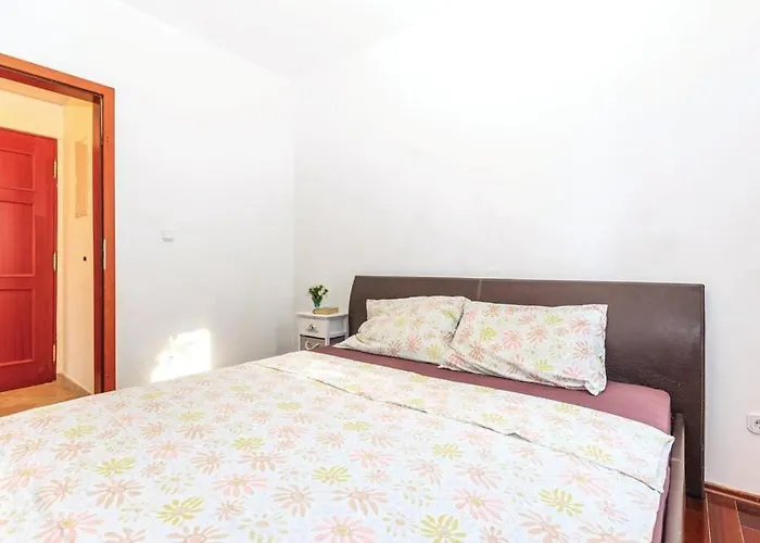 Sofia * تْسْغيكفانِتْسا